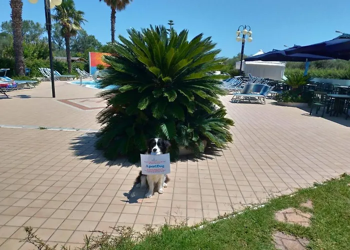 Hotel Marina Roseto Degli Abruzzi